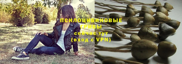 первитин Абинск